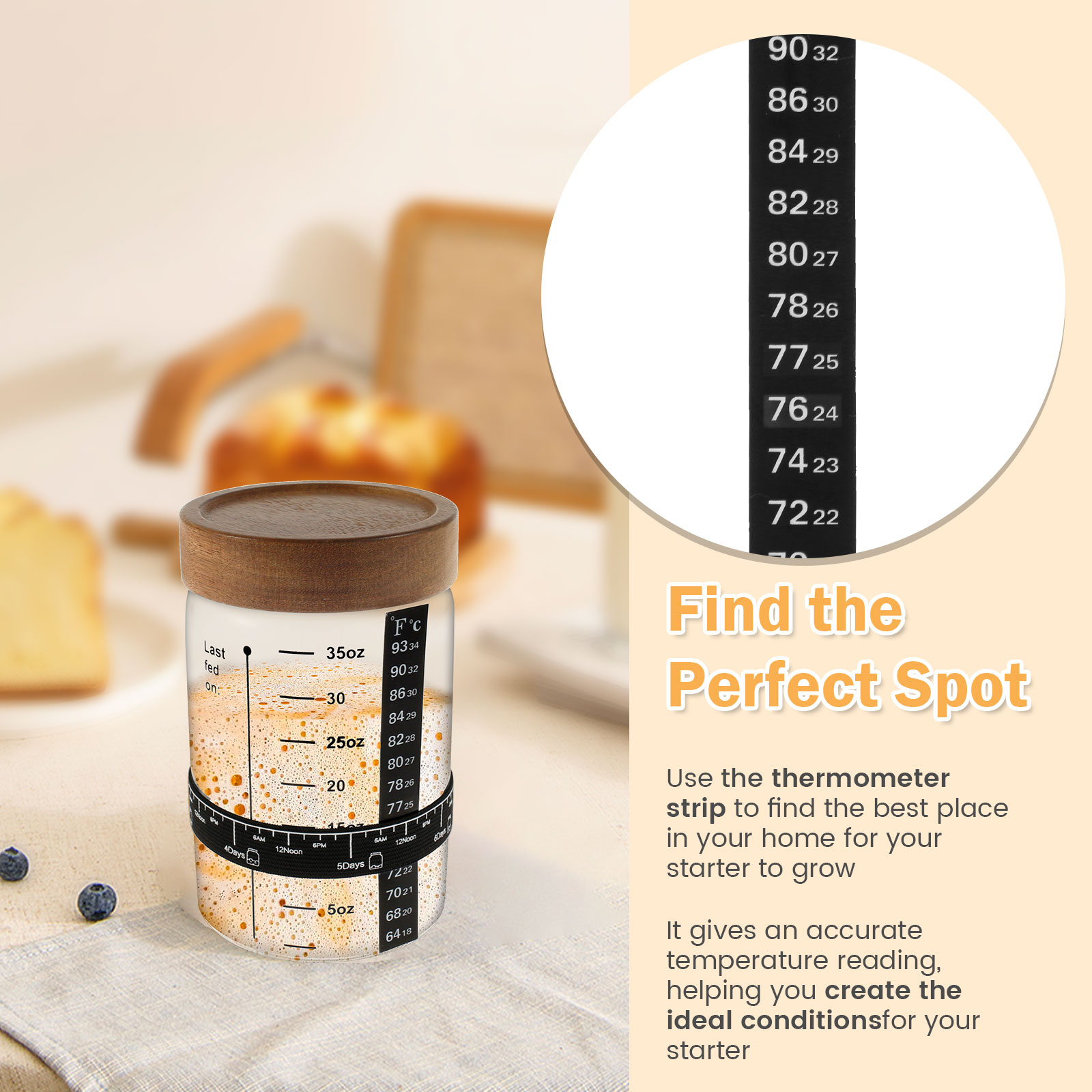 Kit de frasco inicial de massa - Food Storage Containers avaliação e preço